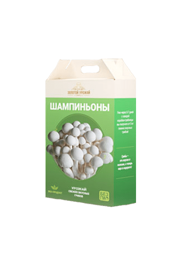 Домашняя грибная ферма Mushrooms Farm Шампиньоны