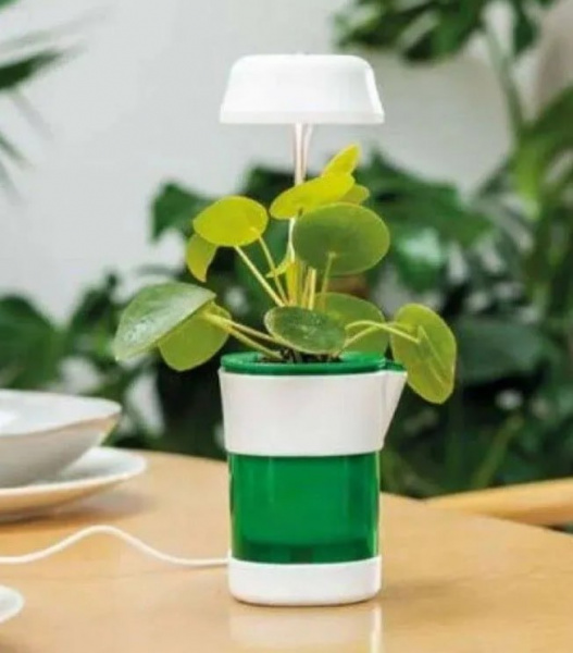 Горшок для цветов Led Grow Light